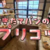 焼きたてパンの店アプリコット