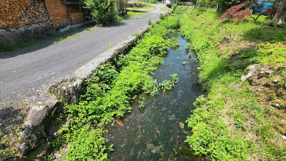 みつばつつじの家 小川