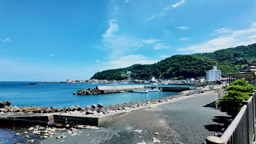 味くらべから見える海
