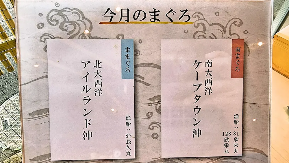南まぐろと本まぐろ今月のまぐろ
