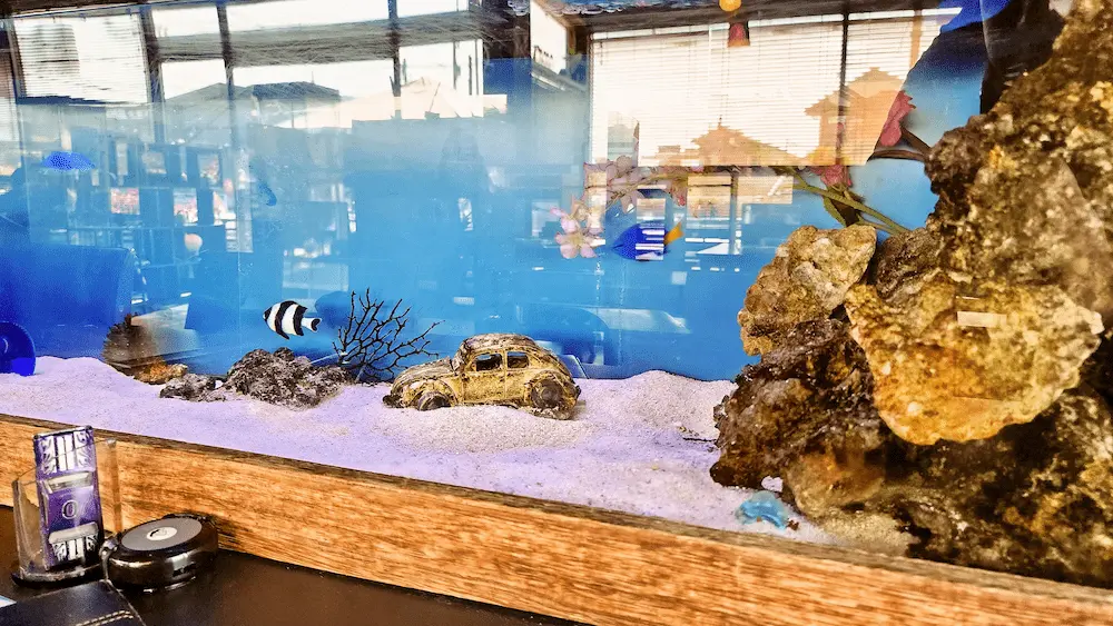 アトラーレ 内装　アクアリウム